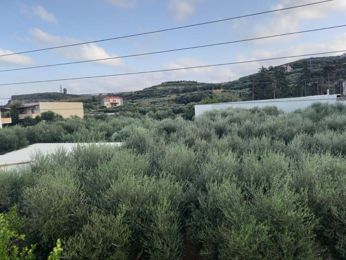 Michalis Litinas Apartments Agia Marina Eksteriør bilde